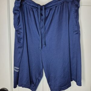 Under Armour Blue Athletic Shorts